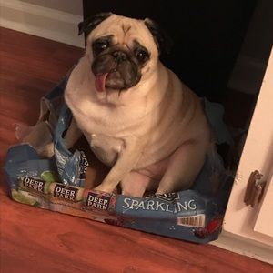 Meet your Posher, Lyda